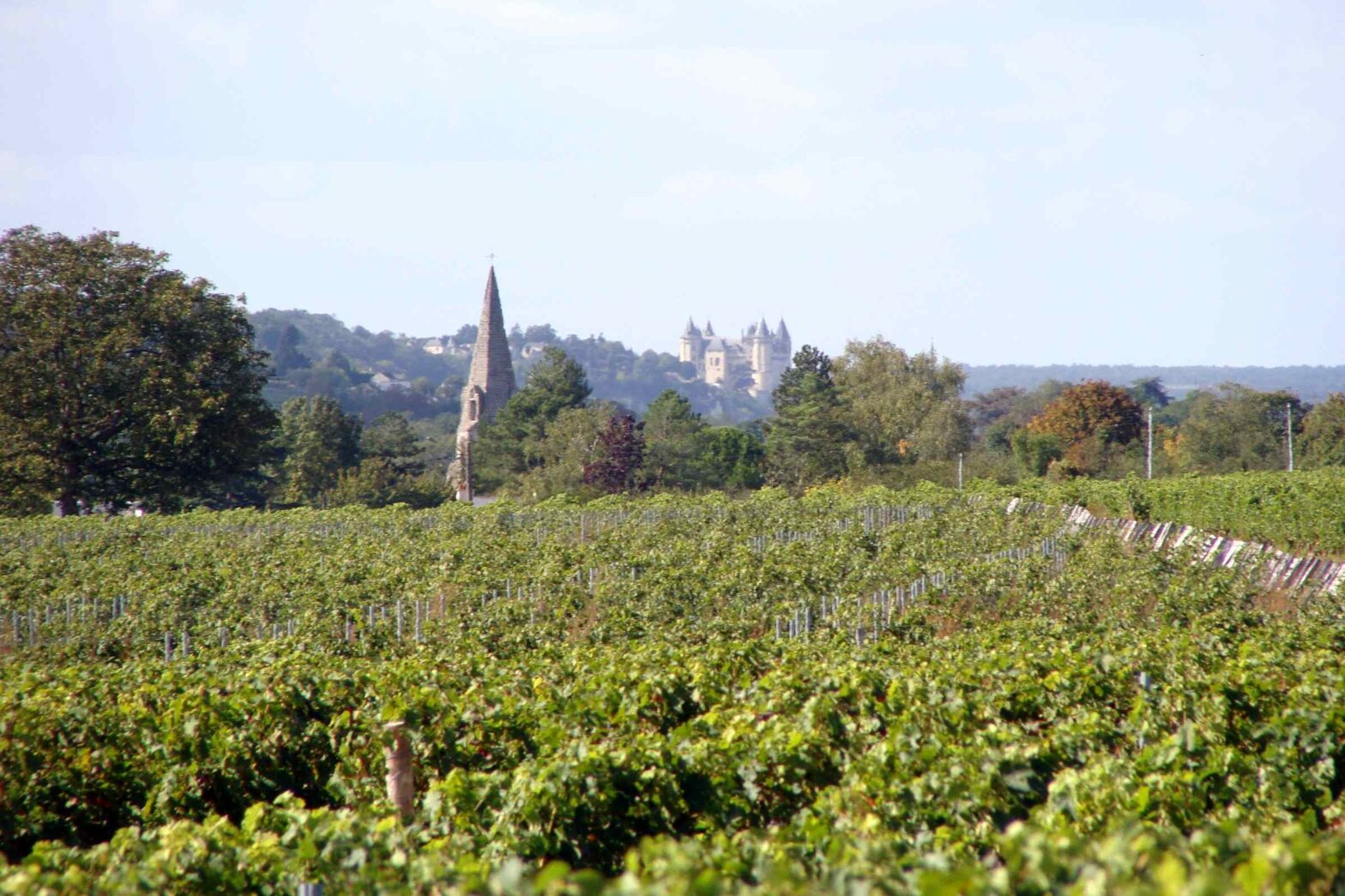Loire Valley Cycling Holidays - Saumur by Bike
